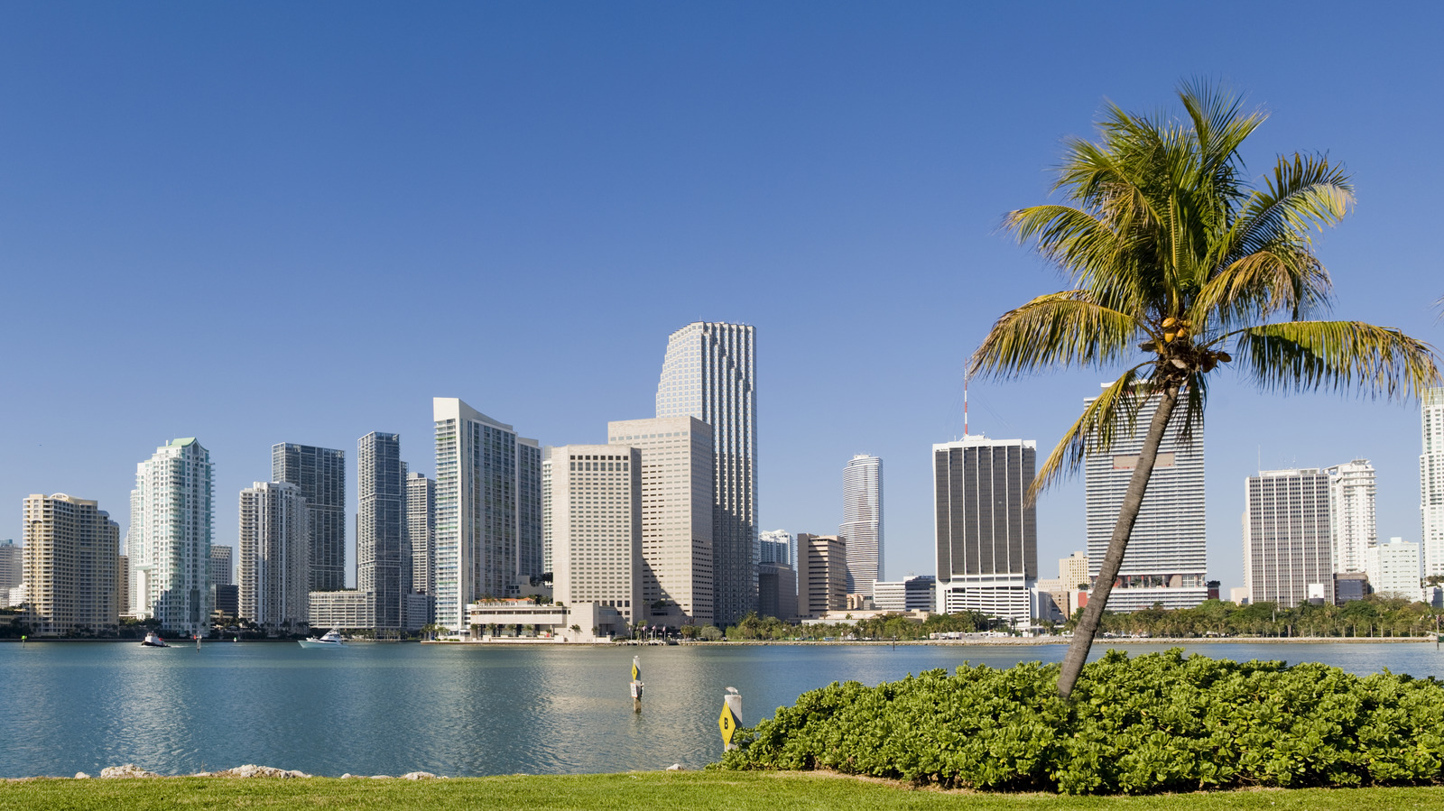 couples counseling in florida